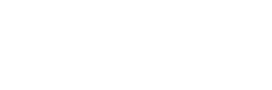 Horizon Health Network