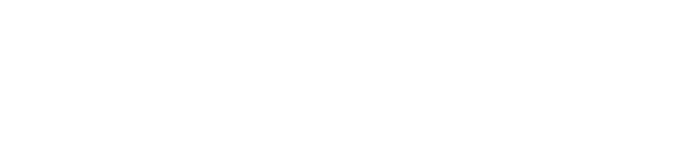Horizon Health Network